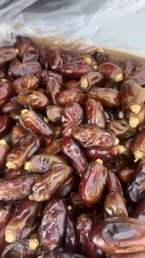 تمر للبيع مباشر