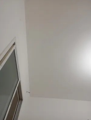 ببع-تابلت-100شيقل