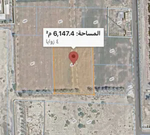 Farm Land for Sale in Al Batinah Barka