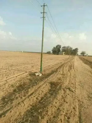 يوجد 42,000فدان ملك نهائي بها خدمات حكوميه ميـُــاه ري نيلي+عمدان كهرباء علي راس القطعه +مياه شرب