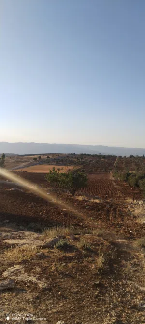 Farm Land for Sale in Jerash Marsa'