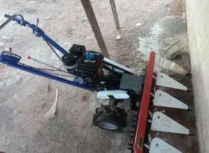 للبيع قصاصة حشيش
