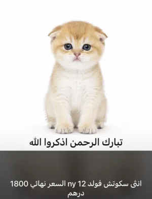 اجمل الكائنات