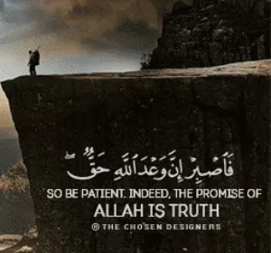 أبو عمار 