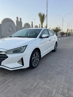 النترا2020