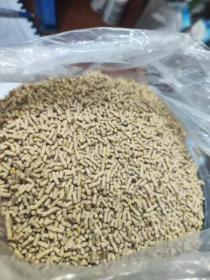 علف مركز بالتمر