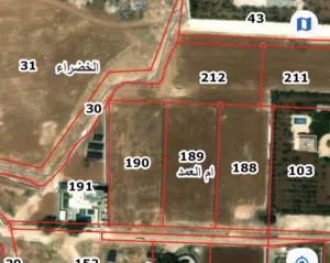 Farm Land for Sale in Amman Umm Al-Amad