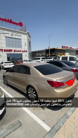 افلون 2011