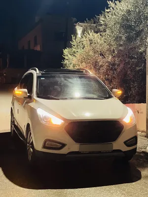 توسان-2013-فل-الفل