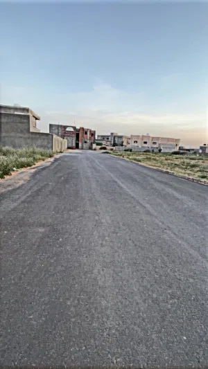 عين زارة شارع كاتب العام