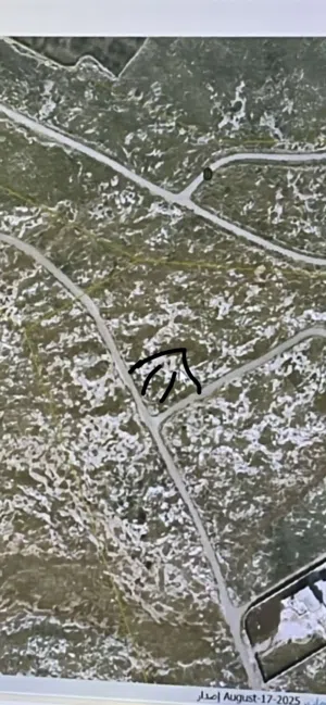 بسبب السفر ارض طلوزة بالقرب من شاليه W بسعر مغري