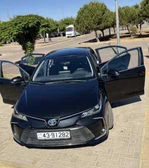 Used Toyota Corolla in Amman