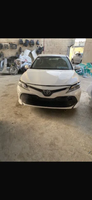 قطع غير فقط