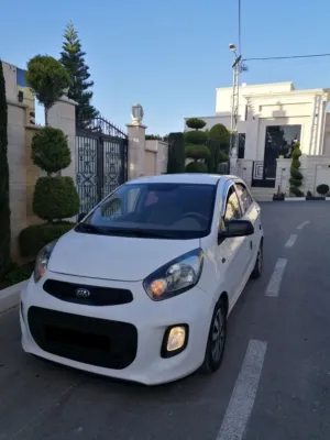 كيا مورننغ موديل 2015 بالكرتونه نايلون الشركه