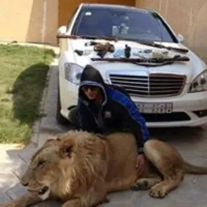 بہأيہعہ عہقہلة