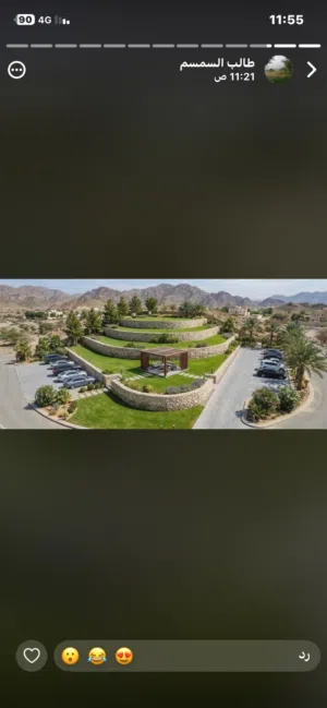 زراعه النخل ولمظلات وتركيب الحجر التراث