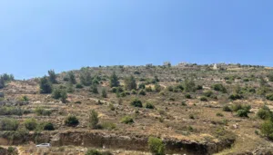 قطعة ارض للبيع في منطقة حسكه تصنيف الف كوشان طابو