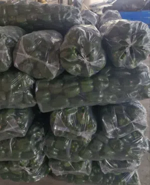 الفلفل الأخضر-Green Bell Pepper