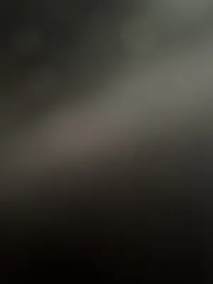 ‏اخرى ‏.‏ أخرى ‏.‏ 44‏1