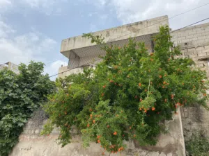 198 m2 More than 6 bedrooms Townhouse for Sale in Amman Jabal Al Naser