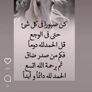 المقبالي 