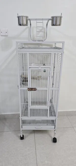 السوق المفتوح