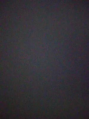تريلات نقل بضائع
