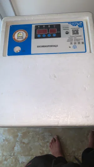 حضانه 36بيضه