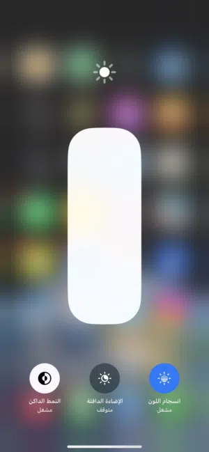 Apple iPhone 11 64 GB in Tripoli