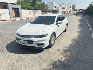 شفيرلية ماليبو صبغ الوكالة خليجي 2017