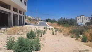 Yearly . 400 m24