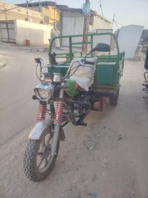 ستوتة كربلائية رقم وسنوية نضيفة