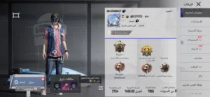 Pubg Accounts and Characters for Sale in Basra