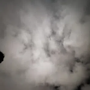 محمد هشام 