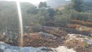قطعة أرض مميزة في بيت ريما