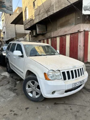 جيب لاريدو 2008