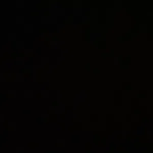 omarsh003 