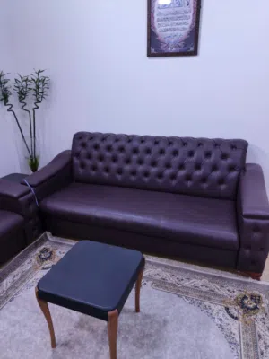 تخم قنفات تركي للبيع  5 قطع