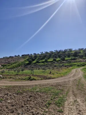 Residential Land for Sale in Irbid Other
