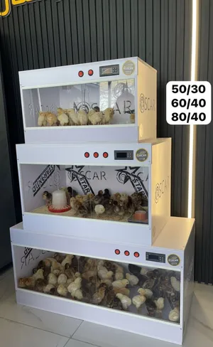 حاضنات للصيصان OSCAR