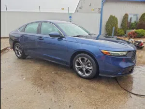 Used Honda Accord in Muscat