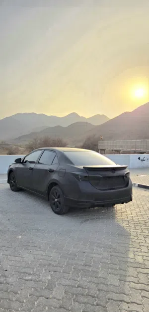 Matt Black Toyota Corolla
