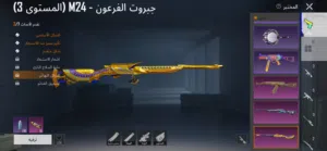 Pubg Accounts and Characters for Sale in Muscat