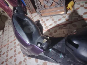 فراشه للبيع