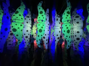10 large inflatable tentacules & 11 small inflatable tentacules
