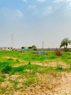 Mixed Use . 3787 m2 . Landlord0