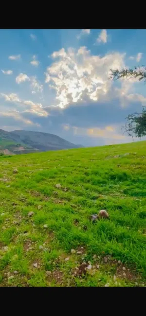 ارض للبيع في ماحص على 3 شوارع تصلح لبناء شالية ومزرعة تبعد عن دابوق  و الفحيص 17 كيلو