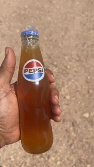 عسل برم  وسدر غراش صغار ابو طويق اصلي ومضمون بسعر مناسب