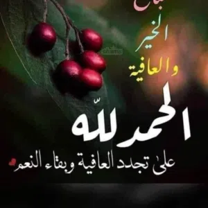 ابو حيدر 