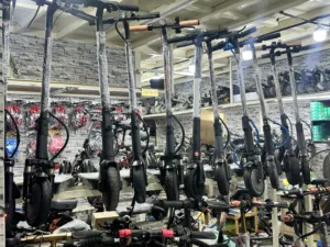 Electric Scooter